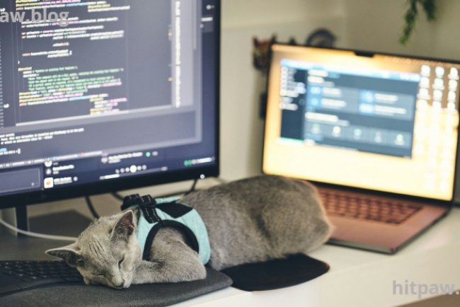 How I Actually Use It to Get More Done Without Burning Out