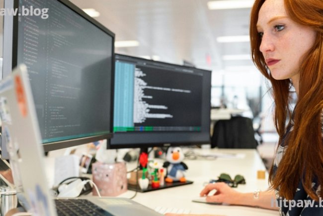 Usage Tips of Software