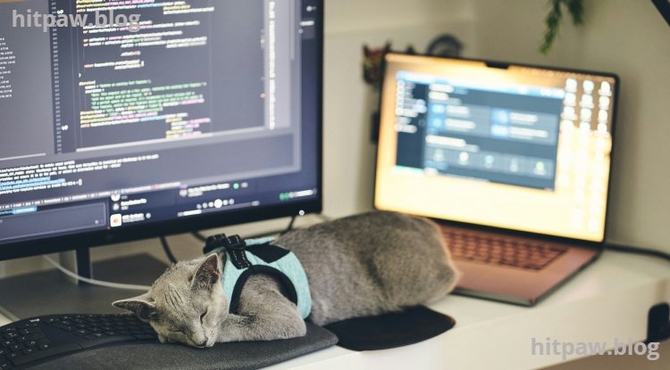 How I Actually Use It to Get More Done Without Burning Out